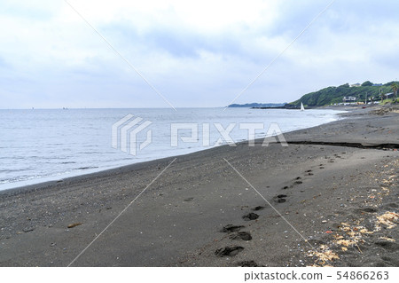 Private beach 54866263