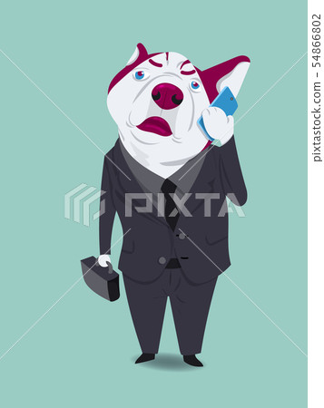 Siberian dog in human body wear business suit Siberian dog in human body wear business suit 54866802