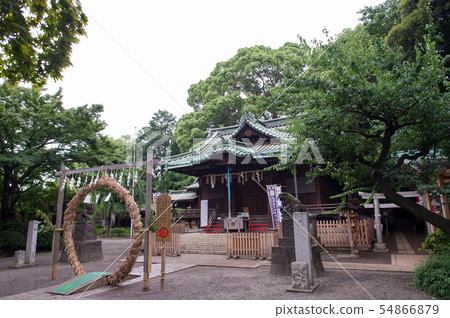 Yoyogi Hachimangu Shrine 54866879