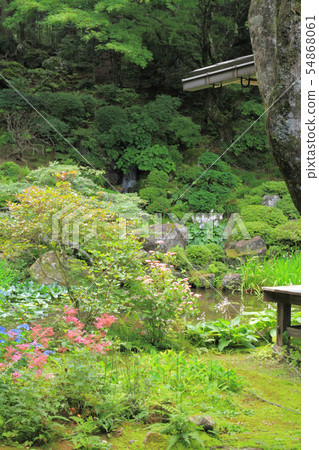 Komagane Kowzenji Honbo Guest House Garden Komagane Kowzenji Honbo Guest House Garden 54868061