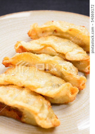 Delicious fried dumplings 54869172