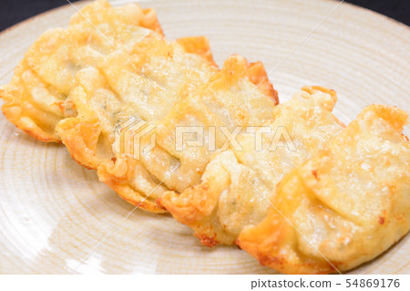 Delicious fried dumplings 54869176