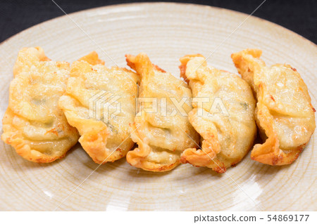 Delicious fried dumplings 54869177