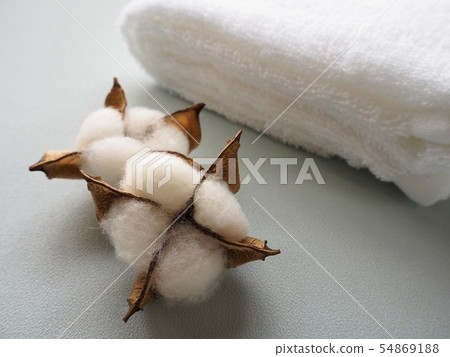 Cotton and white towel Cotton and white towel 54869188