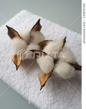 Cotton and white towel Cotton and white towel 54869189