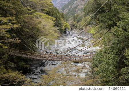 Iya的Kazura橋 Iya的Kazura橋 54869211