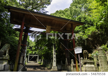 Grenade Hachimangu Shrine Tree Torii Grenade Park Kanonji City, Kagawa Prefecture Grenade Hachimangu Shrine Tree Torii Grenade Park Kanonji City, Kagawa Prefecture 54870538
