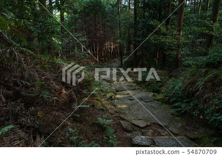 熊野古道 熊野古道 54870709