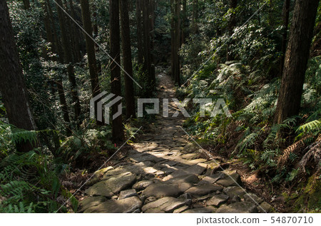 熊野古道 熊野古道 54870710