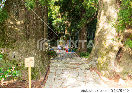 Kumano Kodo 54870740