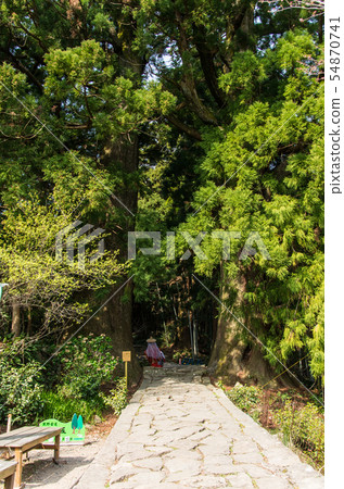 Kumano Kodo 54870741