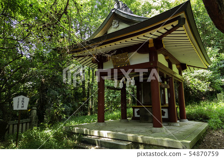 公報八幡宮神社宮城天滿宮神社手淫公園神奈川縣Kanonji市 54870759