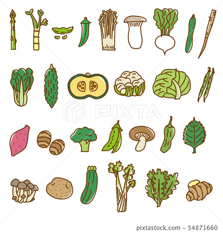 Vegetables 2 Assorted Variations Vegetable Material Vegetables 2 Assorted Variations Vegetable Material 54871660