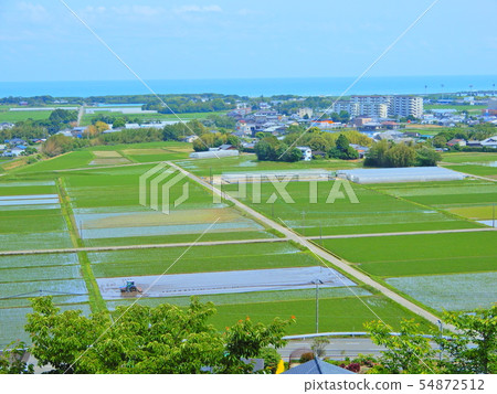 農業，領域，稻田，高鍋鎮，大米，耕地機，拖拉機 54872512