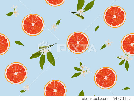 Orange Fruits Slice Seamless Pattern With Flowers And Leaves On Pastel Blue Background Grapefruit Citrus Fruit Vector Illustration Stock Images Page Everypixel