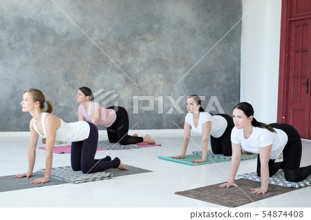 young caucasian women practicing yoga doing pilates exercise. 54874408
