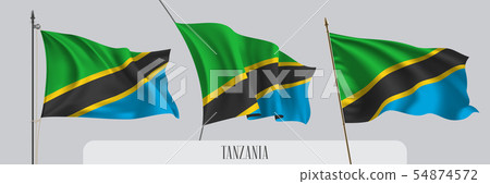 Set of Tanzania waving flag on isolated background - Stock Illustration ...