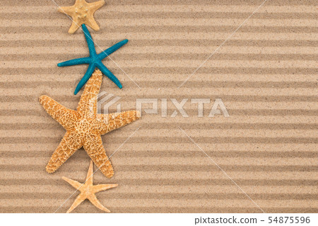 line of starfish lies on the lines made from sand. 54875596
