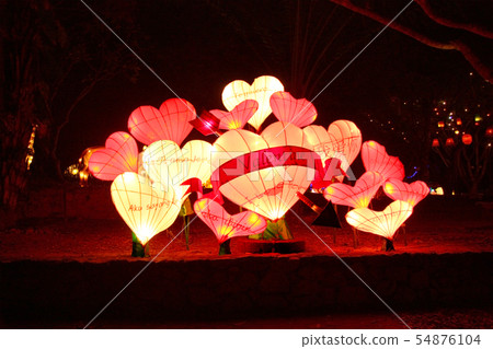 Decorate the variety lanterns in the night park Decorate the variety lanterns in the night park 54876104