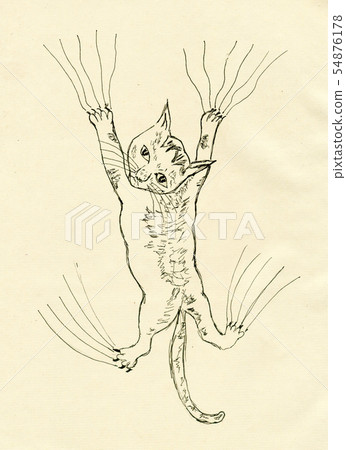 Kitten Scratching Sketch Kitten Scratching Sketch 54876178
