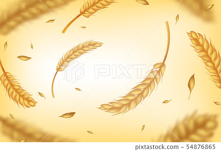 Realistic wheat background. Agricultural harvest ears and grains, organic healthy food concept 54876865