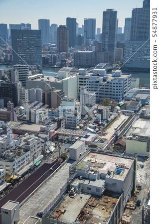 [築地市場出場] 54877931