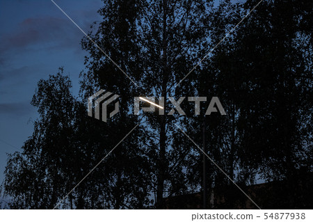 White lantern among the shadows of trees White lantern among the shadows of trees 54877938