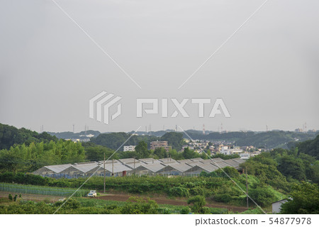 [Tama Hills Countryside] 54877978