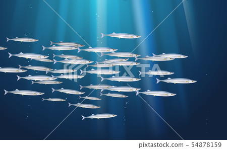 Background, school of Pacific saury, fishes marine 54878159