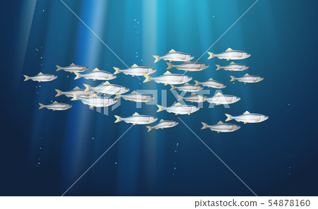 School of herring baltic fish. Marine life. Shad 54878160