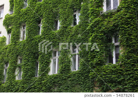 Greening of buildings Germany Greening of buildings Germany 54878261