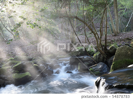 Morning stream 54878783