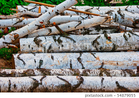 Stack of dried firewood of birch wood. Winter fuel in farmhouse 54879055