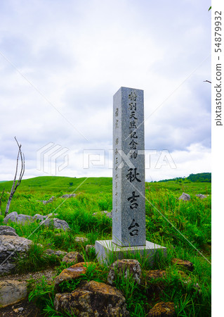 Akiyoshidai山口縣美瑛市 54879932