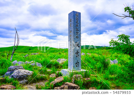 Akiyoshidai山口縣美瑛市 54879933