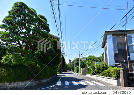 Scenery of Denenchofu residential area 54880020