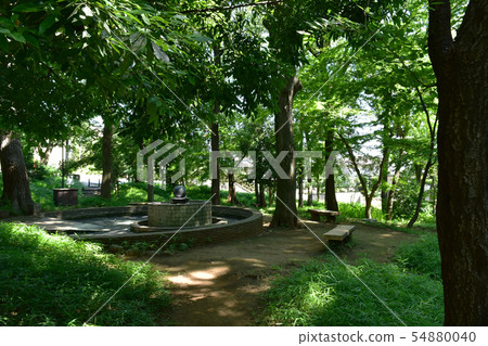 Denenchofu, Takarako Park Denenchofu, Takarako Park 54880040