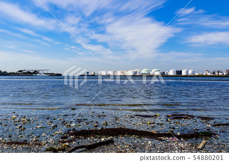 [千葉市]港口公園的沙灘和千葉市民放鬆的地方千島千葉的景色 54880201
