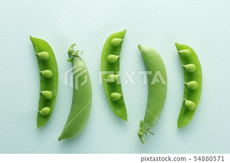 豌豆圖像照片採取有蒼白淡色綠色背景 豌豆圖像照片採取有蒼白淡色綠色背景 54880571