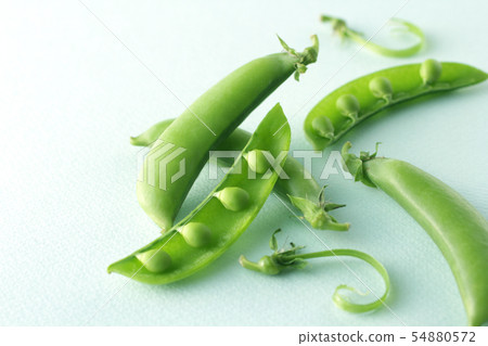 豌豆圖像照片採取有蒼白淡色綠色背景 54880572