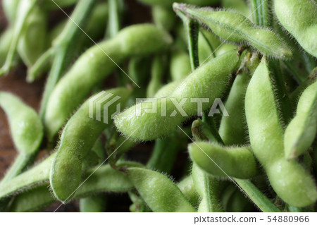 Painful edamame on wooden board background Painful edamame on wooden board background 54880966