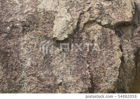 粗糙的皮膚 粗糙的皮膚 54882058