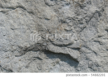 Rough rough skin 54882201