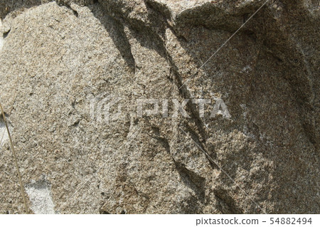 粗糙的皮膚 54882494