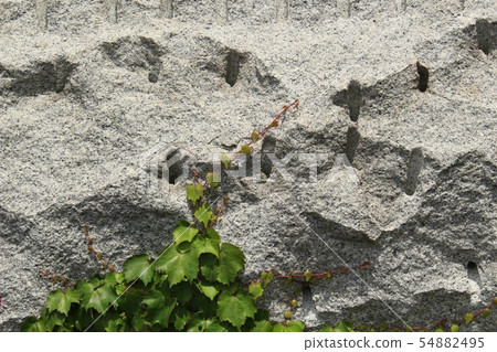 粗糙的皮膚 54882495