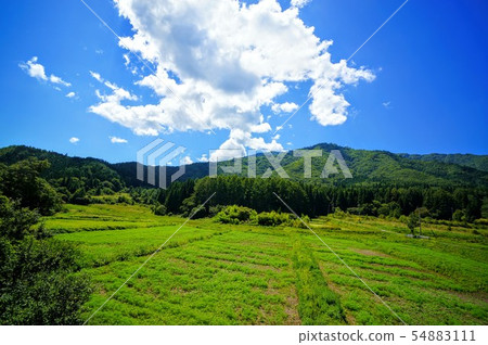 Countryside scenery in Japan 54883111