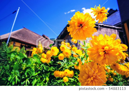 Countryside scenery in Japan 54883113