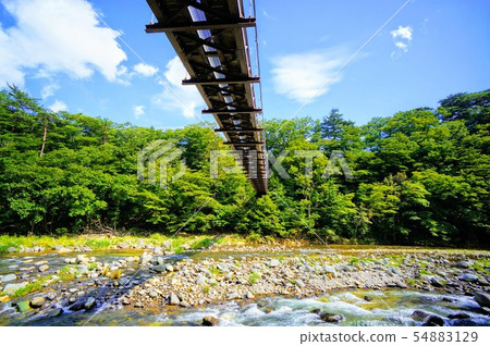 Tower hanging 54883129