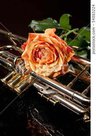 Rose And Trumpet 54883224