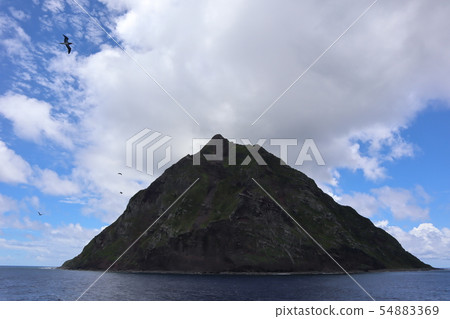 北硫磺島和海鳥 北硫磺島和海鳥 54883369